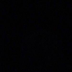 Meet your Posher, Daphnee